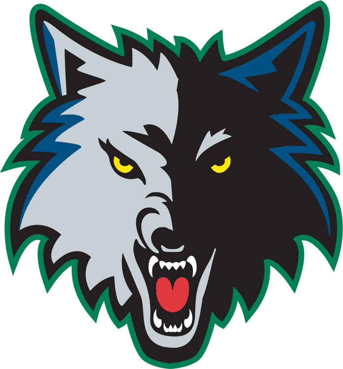 Minnesota Timberwolves 1996-2008 Alternate Logo fabric transfer